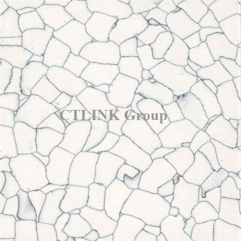 Sàn nâng kỹ thuật tấm thép lõi xi măng mặt phủ conductive PVC/ Vinyl